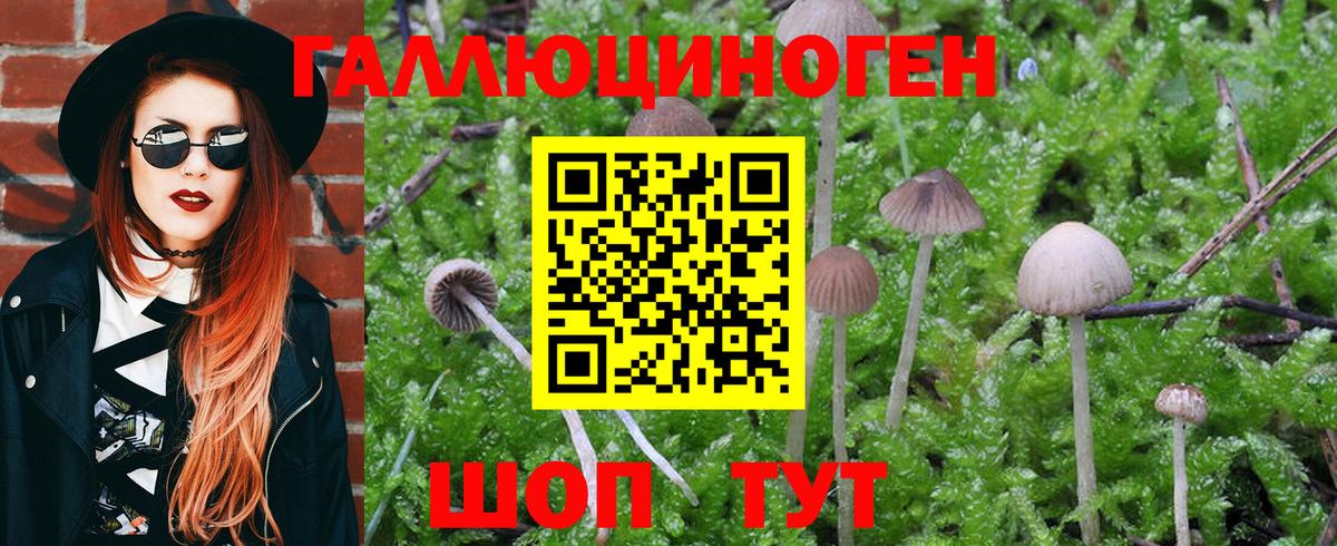 Псилоцибиновые грибы мухоморы Кунгур
