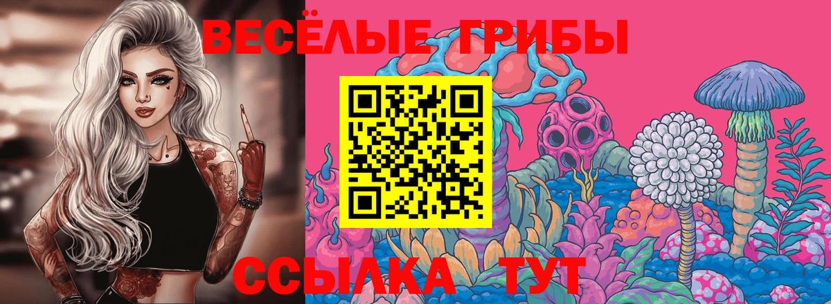 Кунгур  как найти закладки  Вход с VPN  Псилоцибиновые грибы Cubensis 